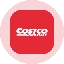 COSTon图标